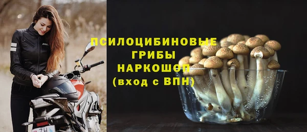 герыч Дмитров