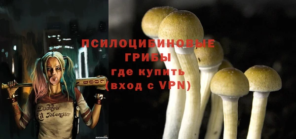 PSILOCYBIN Дмитровск